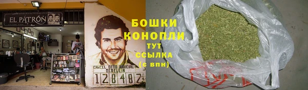 экстази Богданович