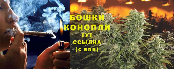 экстази Богданович