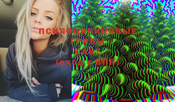 экстази Богданович