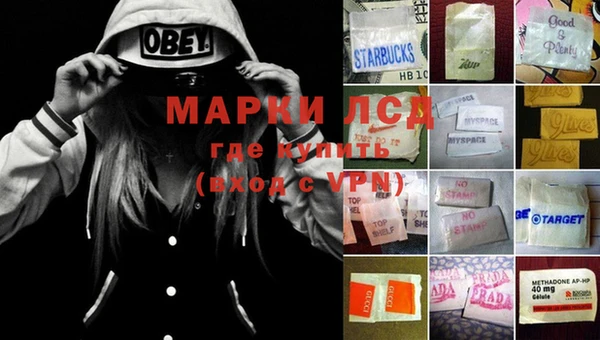 экстази Богданович