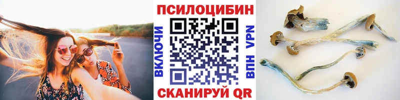 Псилоцибиновые грибы MAGIC MUSHROOMS кракен как зайти Сосногорск